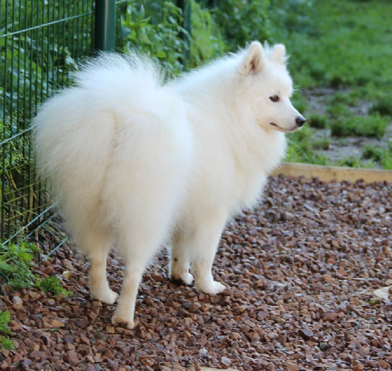 Publication : Des jardins de margaux