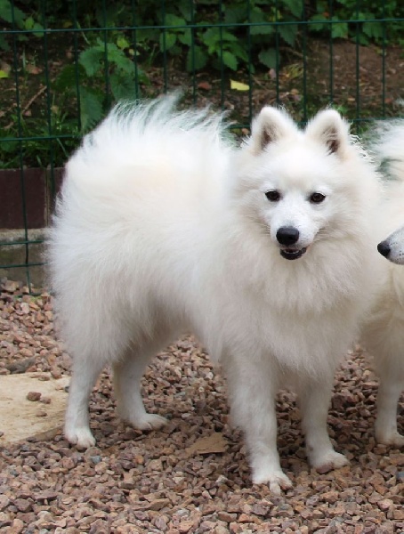 Publication : Des jardins de margaux