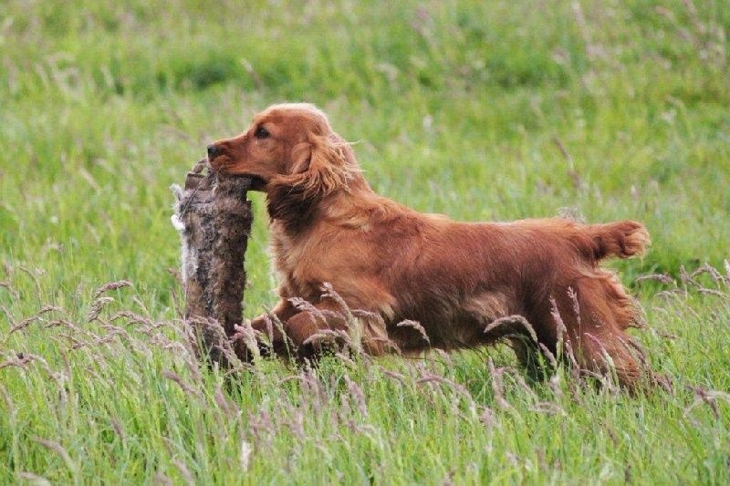 Publication : du plateau des capucins