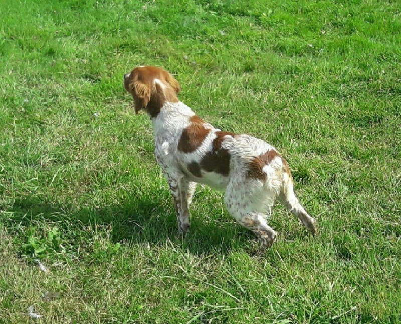 Publication : du plateau des capucins