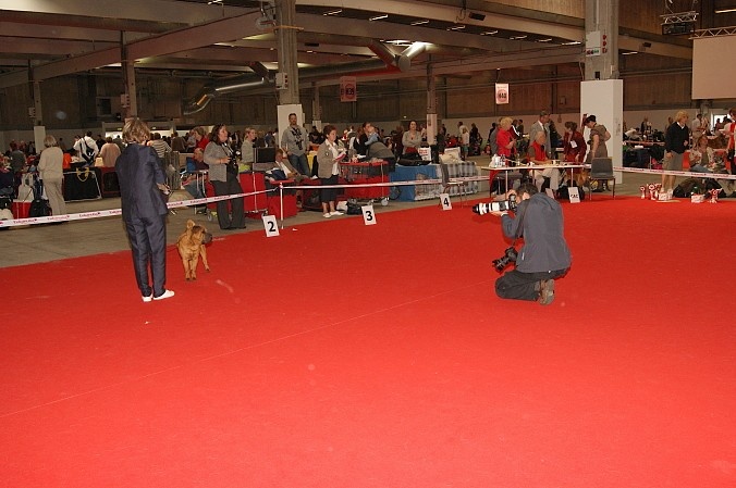 Earl grey tea time du Souvenir du Parfum des Roses - 2ème en CIF