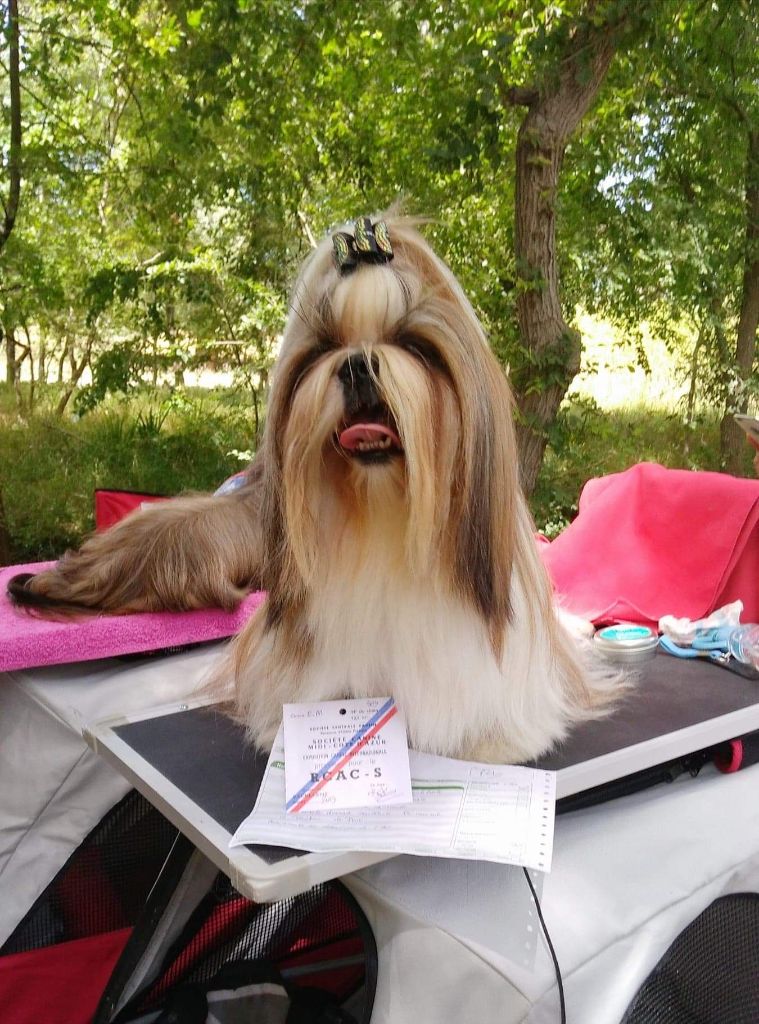 Nepal Du Domaine De Sonam - 1er excellent RCACS