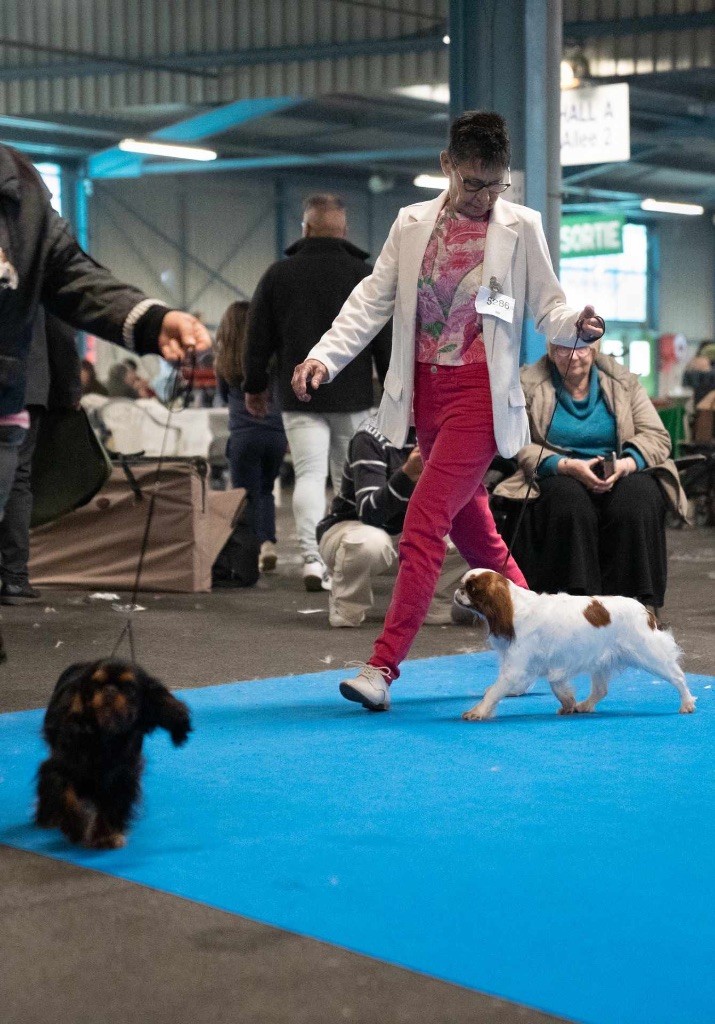 CH. de Sorine Tamise