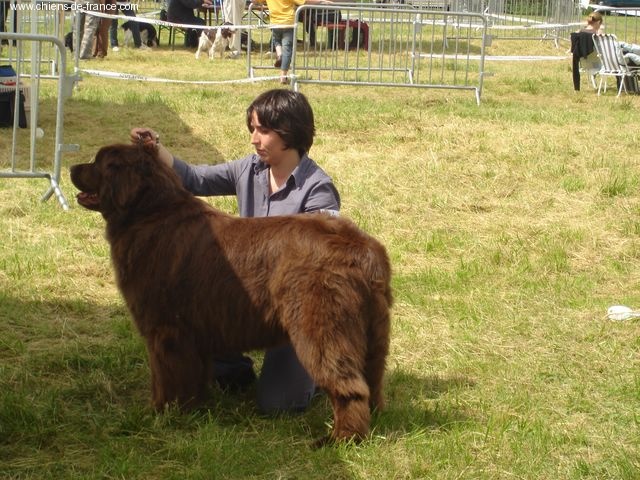 Virtuose (Sans Affixe) - 2e excellente, ouverte