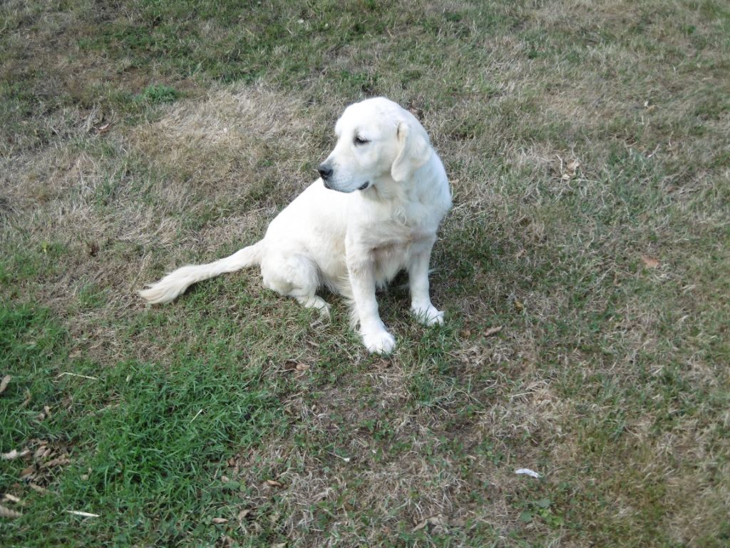 Publication : Tad koz Auteur : André PIOC