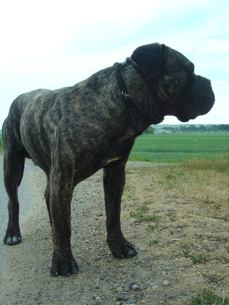 Publication : du domaine de Papacharly