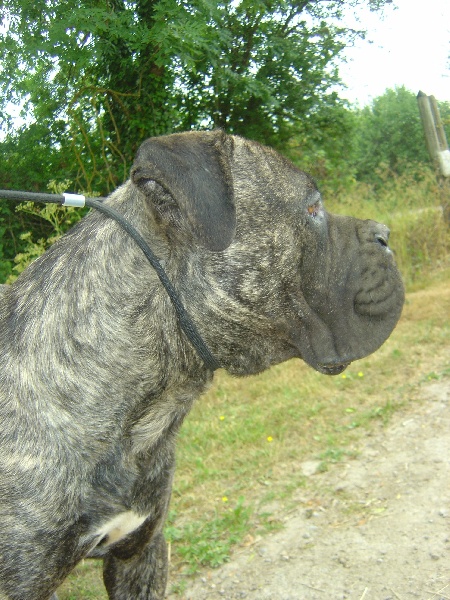 Publication : du domaine de Papacharly