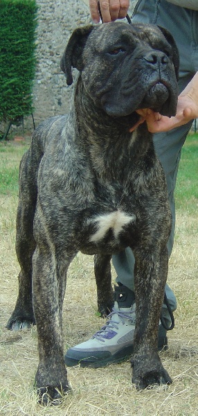 Publication : du domaine de Papacharly