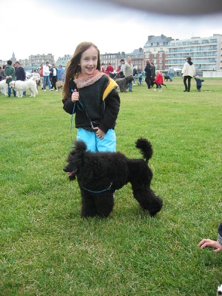 Publication : de la Verchere Rouge