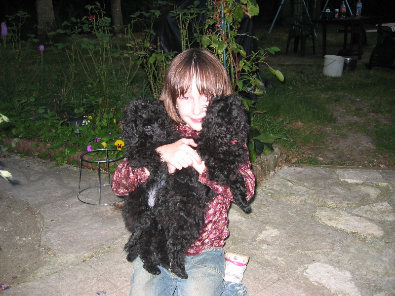 Publication : de la Verchere Rouge