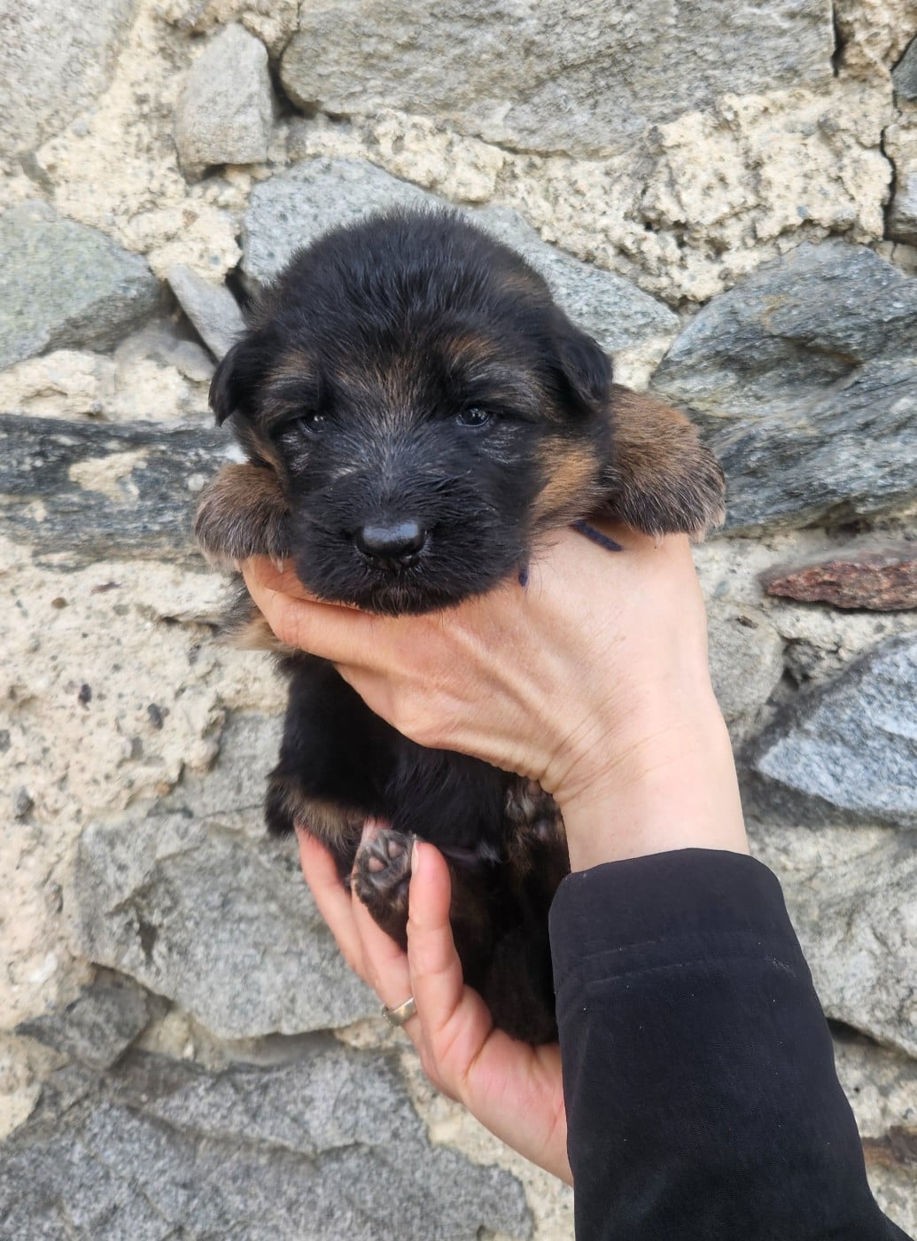 ficelle BLEUE MARINE