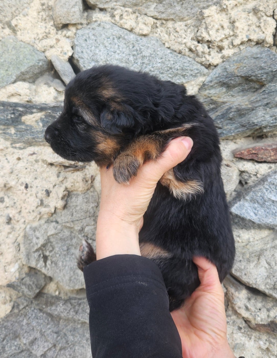 ficelle BLEUE MARINE