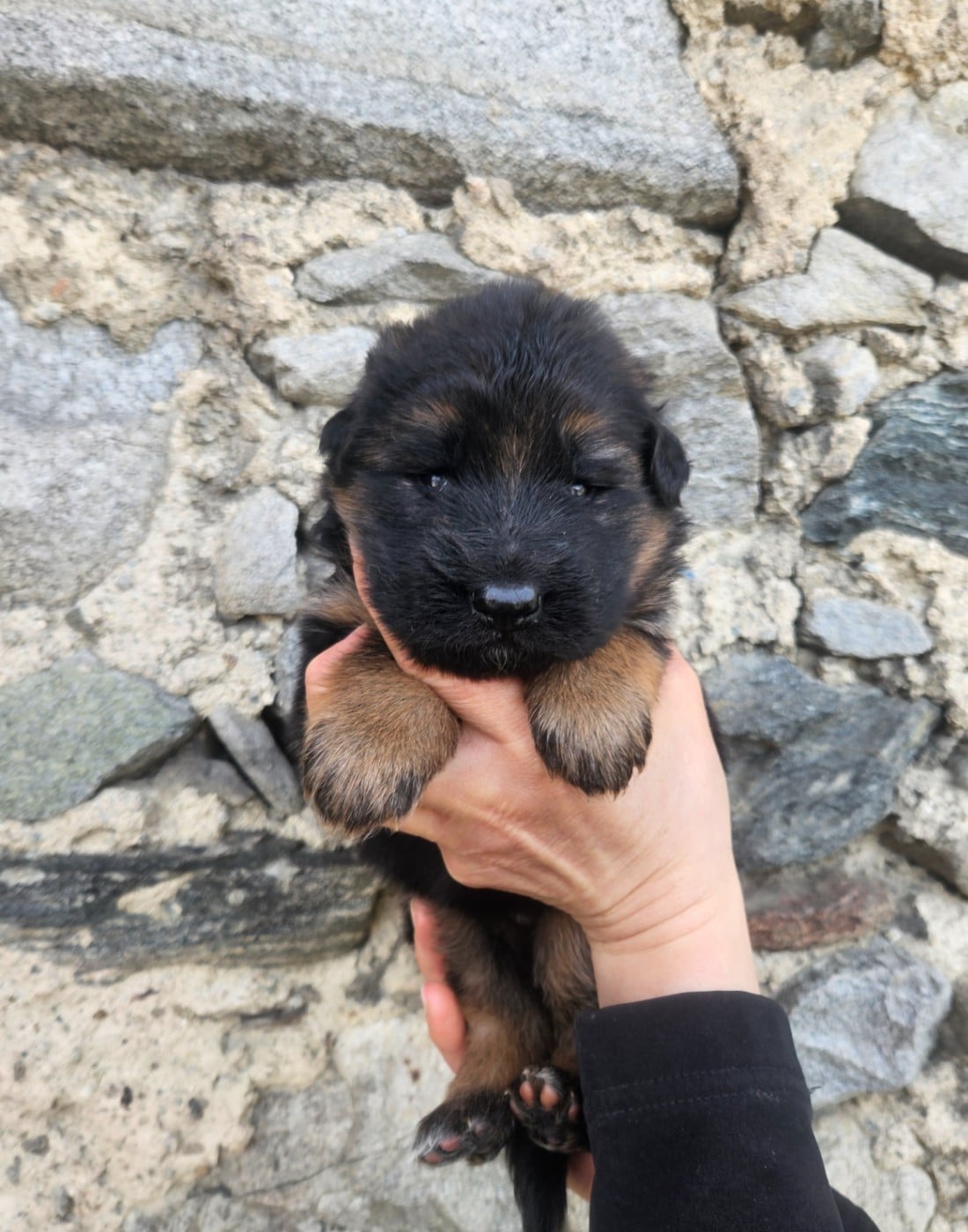 ficelle BLEUE et BLANCHE