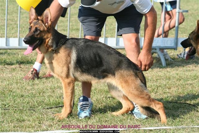 Arsouille Domaine du parc - 2ème très prometteur
