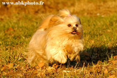 Publication : du Lac d'Annecy