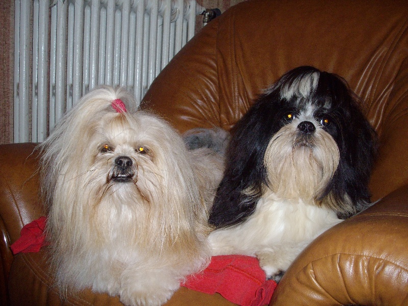 Publication : du Lac d'Annecy