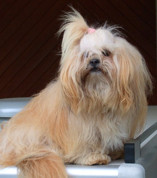 Publication : du Lac d'Annecy