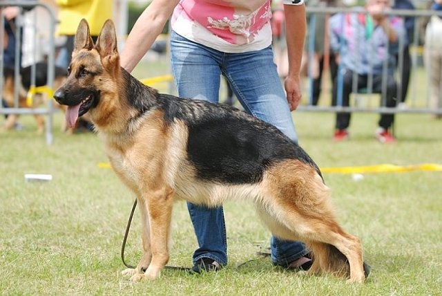 Baika du Lac d'Annecy - TAU