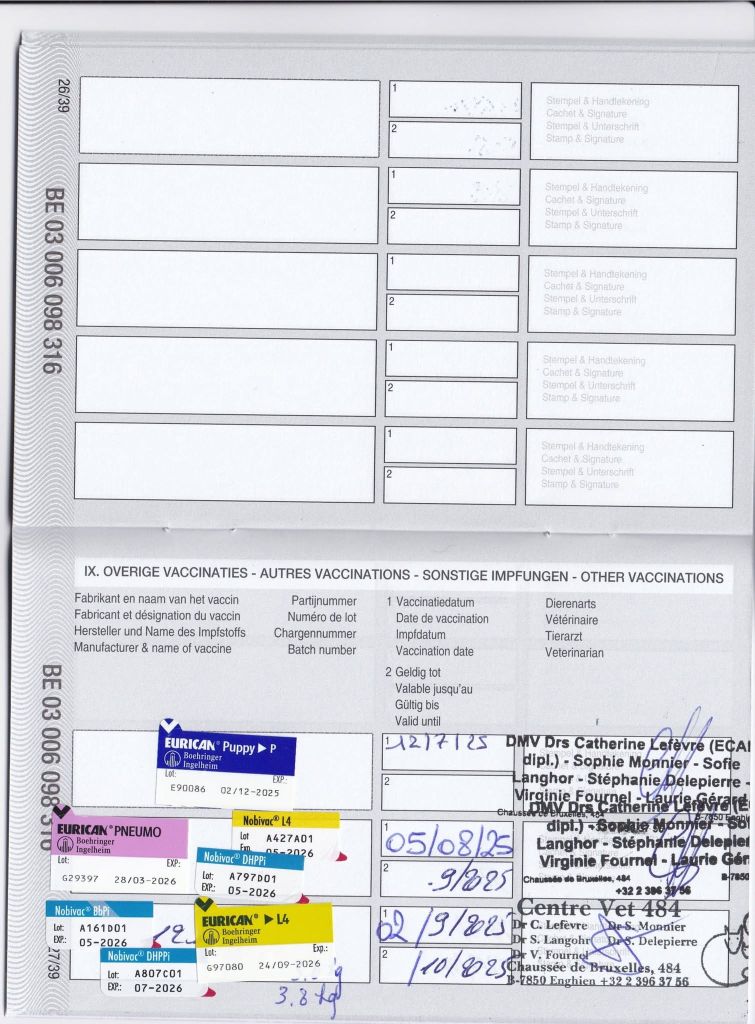 You only live once Lord of Greyskull