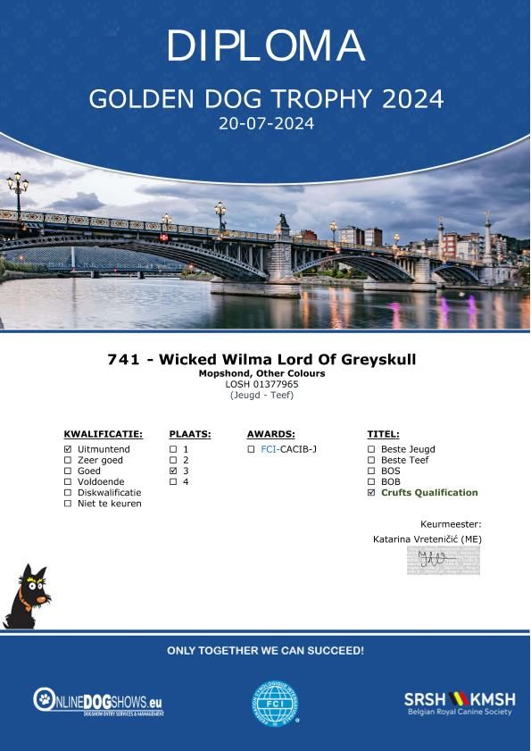 Wicked wilma Lord of Greyskull - JCB 3EX