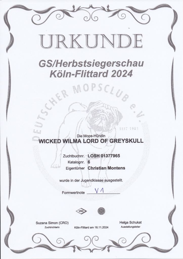 Wicked wilma Lord of Greyskull - HERBST-SIEGERIN 24