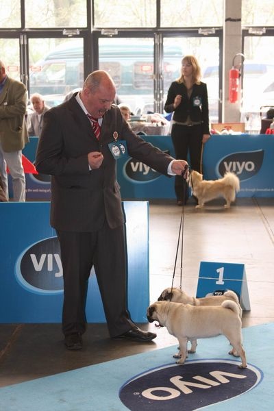 Hamon Lord of Greyskull - COUPLES B.O.B. + 5eme BEST IN SHOW