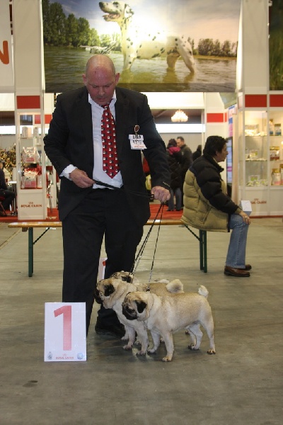 Hamon Lord of Greyskull - GROUPES BEST OF BREED