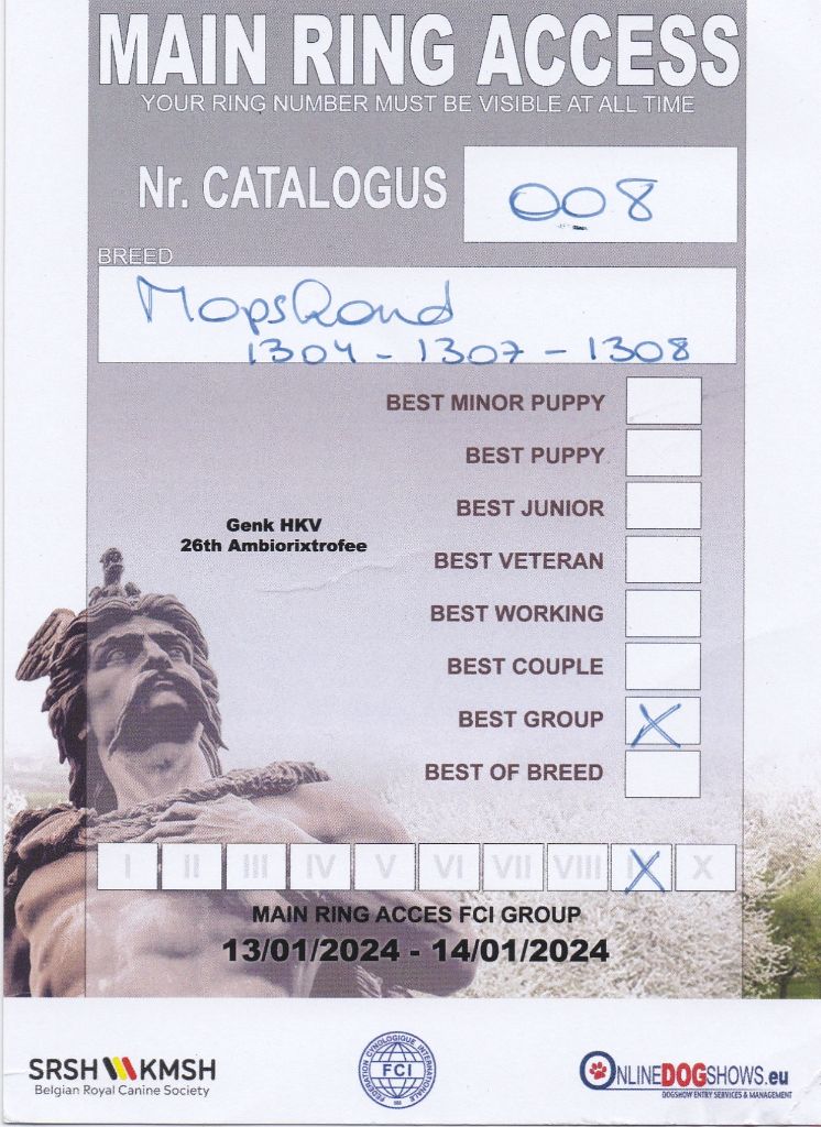 Wicked wilma Lord of Greyskull - BEST TEAM BREED