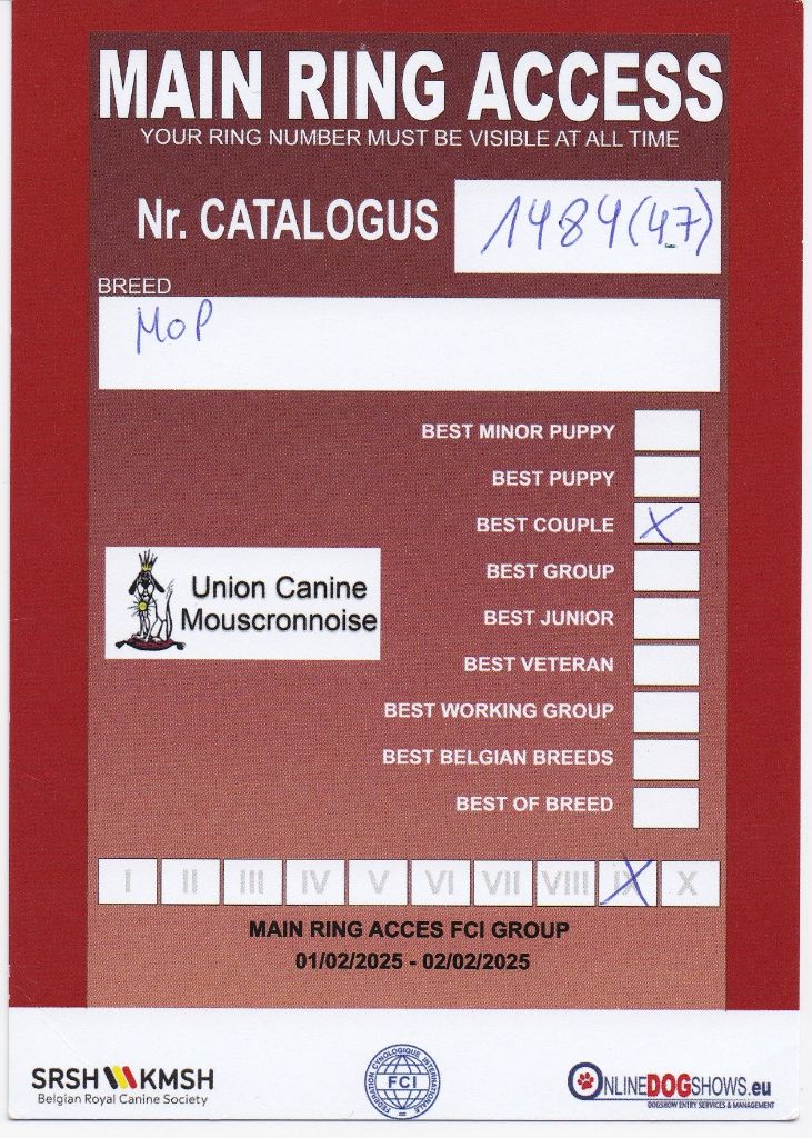 Wicked wilma Lord of Greyskull - BRACE BEST OF BREED