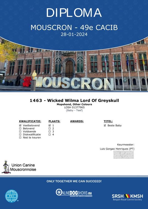 Wicked wilma Lord of Greyskull - MPB 1 VP+ BEST MINOR PUPPY