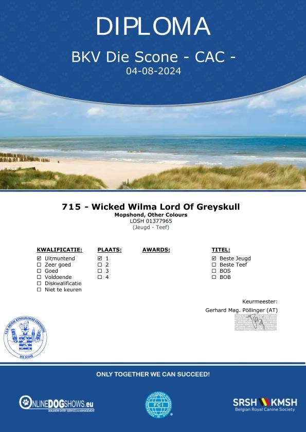 Wicked wilma Lord of Greyskull - JCD 1EX + BEST JUNIOR