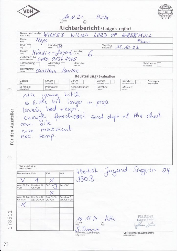 Wicked wilma Lord of Greyskull - JCB 1EX + CAC + BOBJ +BOB