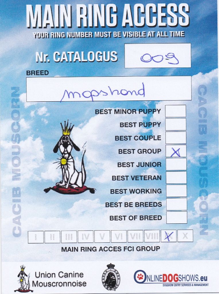 Wicked wilma Lord of Greyskull - TEAM BEST OF BREED