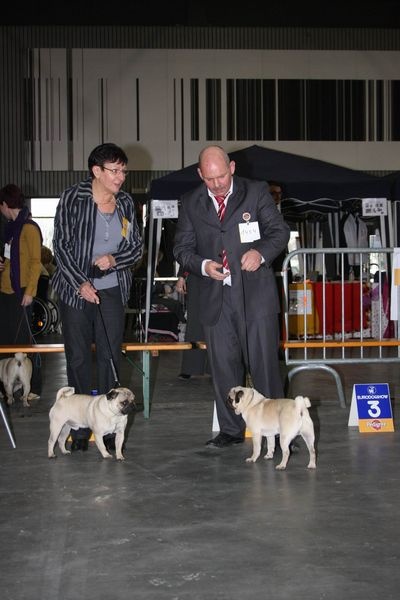 Hamon Lord of Greyskull - 2eme EXELLENT