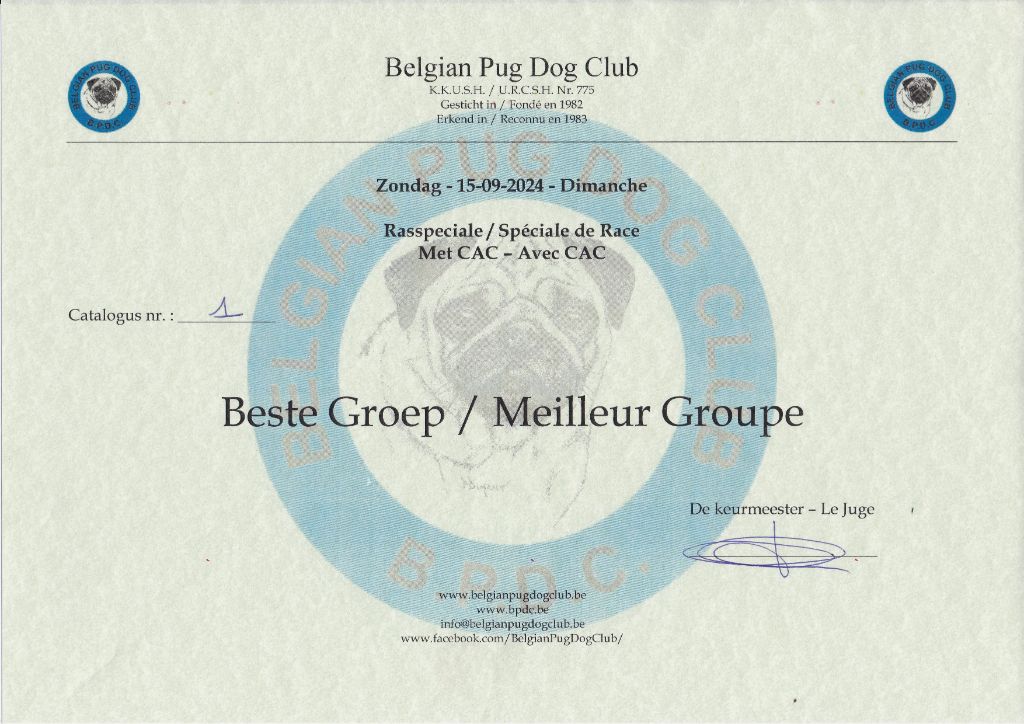 Wicked wilma Lord of Greyskull - BEST TEAM IN SHOW