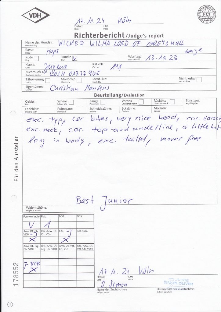 Wicked wilma Lord of Greyskull - JCB 1EX + BEST JUNIOR