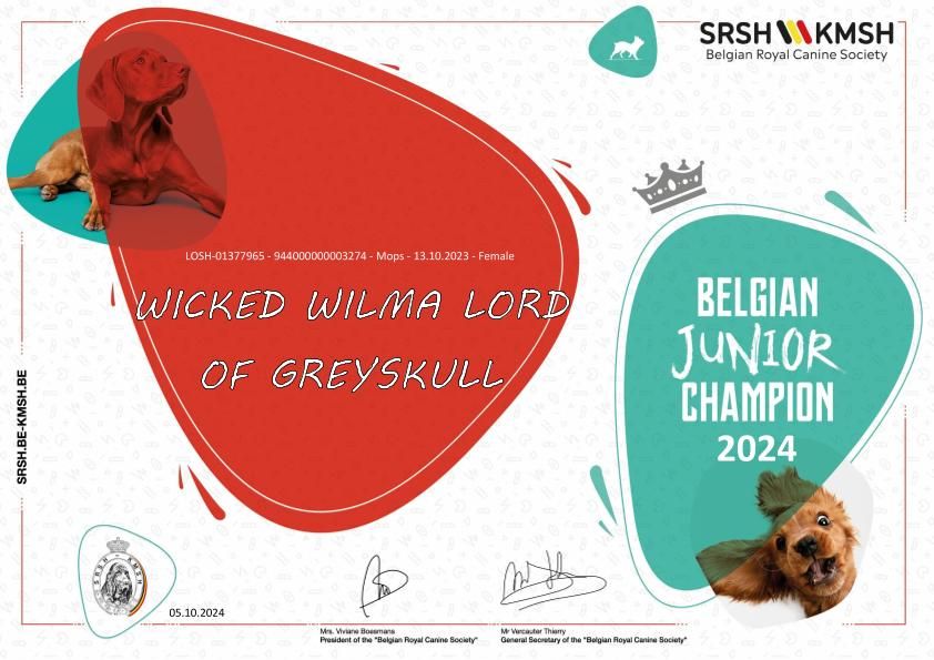 Wicked wilma Lord of Greyskull - BELGIAN JUNIOR CHAMPION