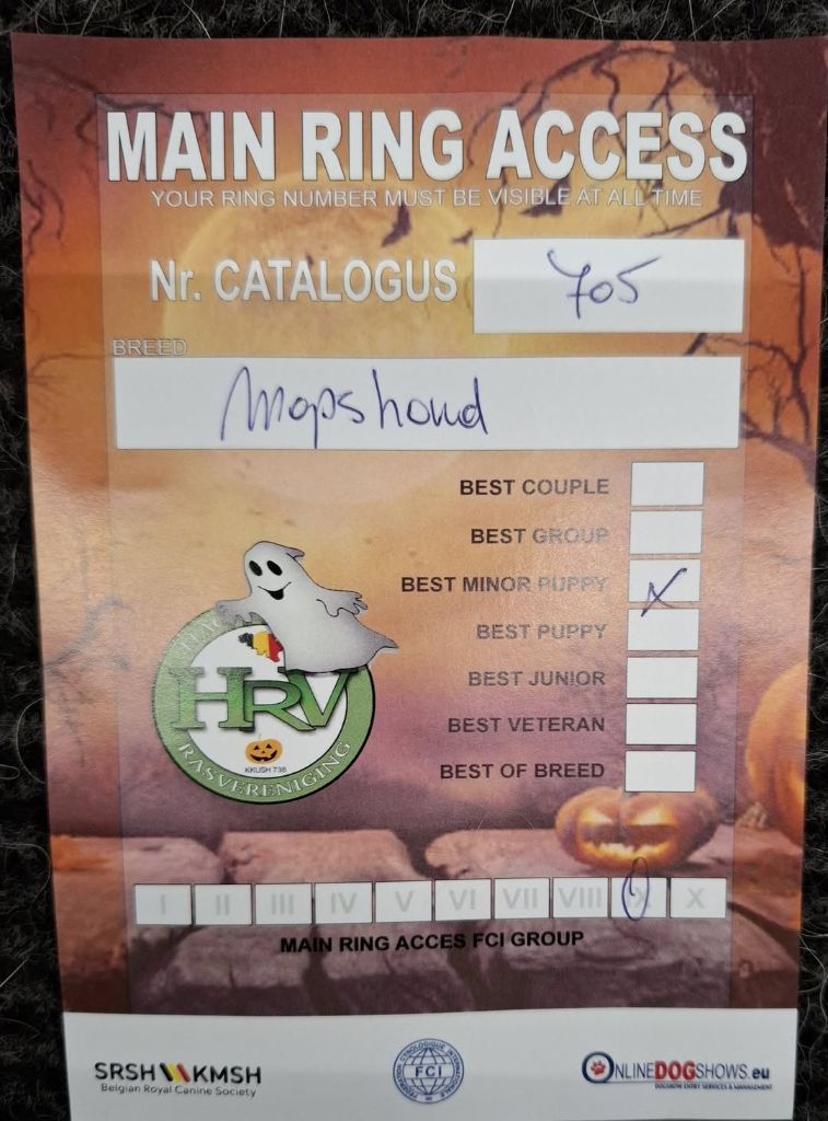 You only live once Lord of Greyskull - BEST MINOR PUPPY