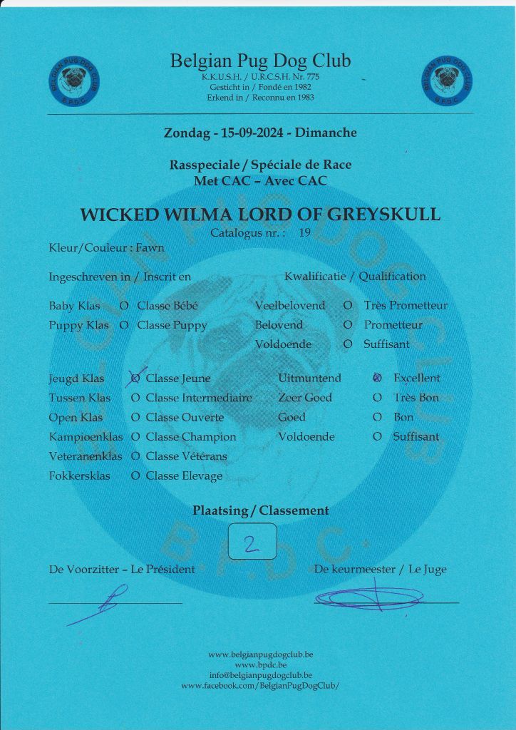 Wicked wilma Lord of Greyskull - JCB 2EX