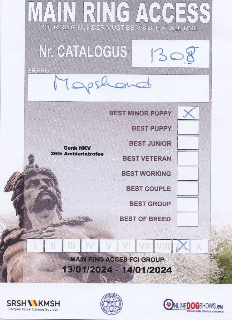 Wicked wilma Lord of Greyskull - BEST MINOR PUPPY