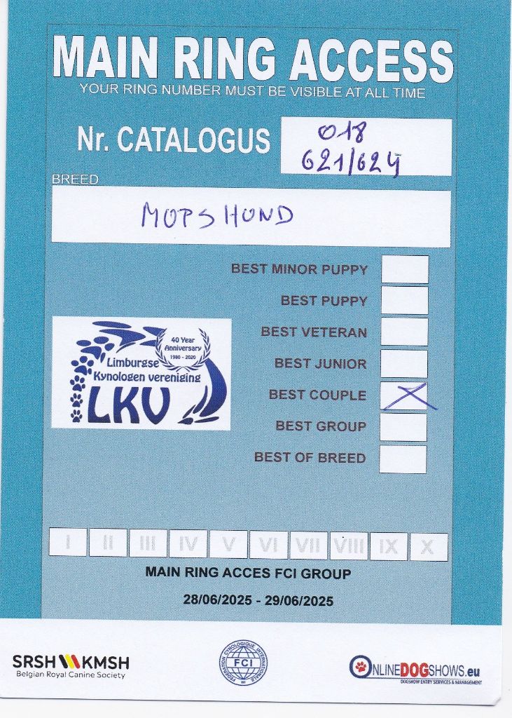 Wicked wilma Lord of Greyskull - BRACE CLASS BEST OF BREED