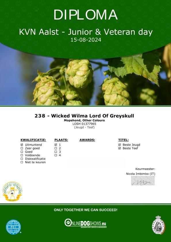 Wicked wilma Lord of Greyskull - JCB 1EX + BEST JUNIOR + BOB