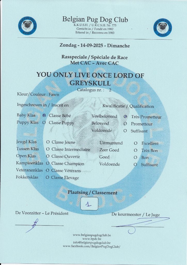 You only live once Lord of Greyskull - MPD 1 VP+ BEST MINOR PUPPY