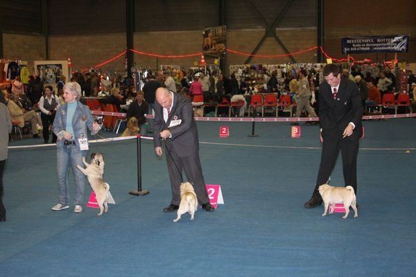 Hamon Lord of Greyskull - 2eme EXELLENT