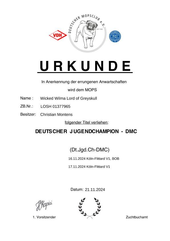 Wicked wilma Lord of Greyskull - DEUTSCHER JUGENDCHAMPION DMC