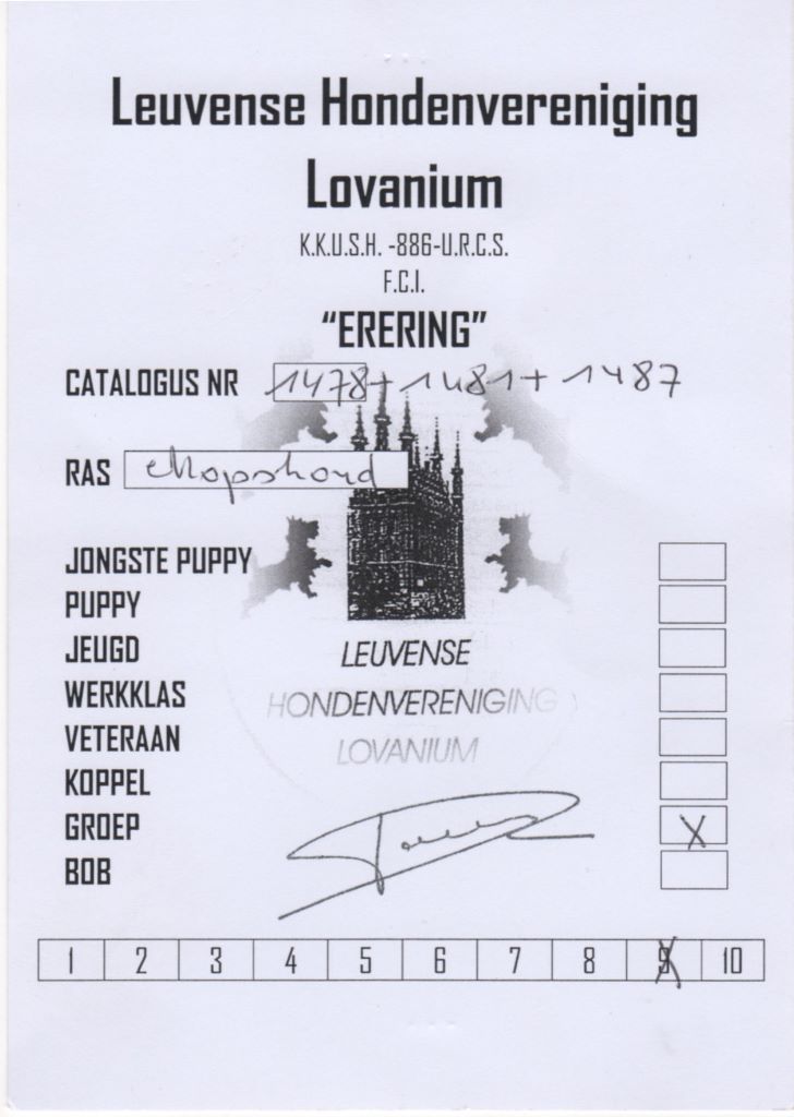 Satisfaction Lord of Greyskull - BREEDERSCLASS 2nd BEST IN SHOW