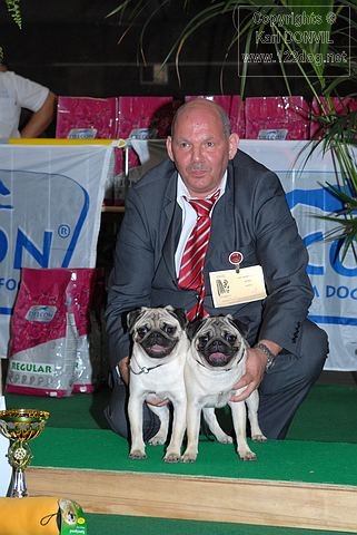 Hamon Lord of Greyskull - COUPLES 3eme BEST IN SHOW