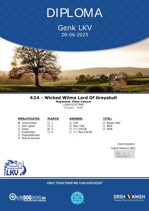 Wicked wilma Lord of Greyskull - ICB 3 EX