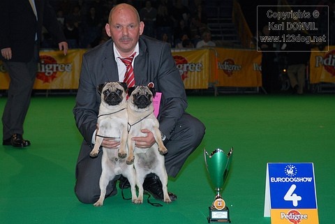 Hamon Lord of Greyskull - COUPLES BOB + 4eme BEST IN SHOW