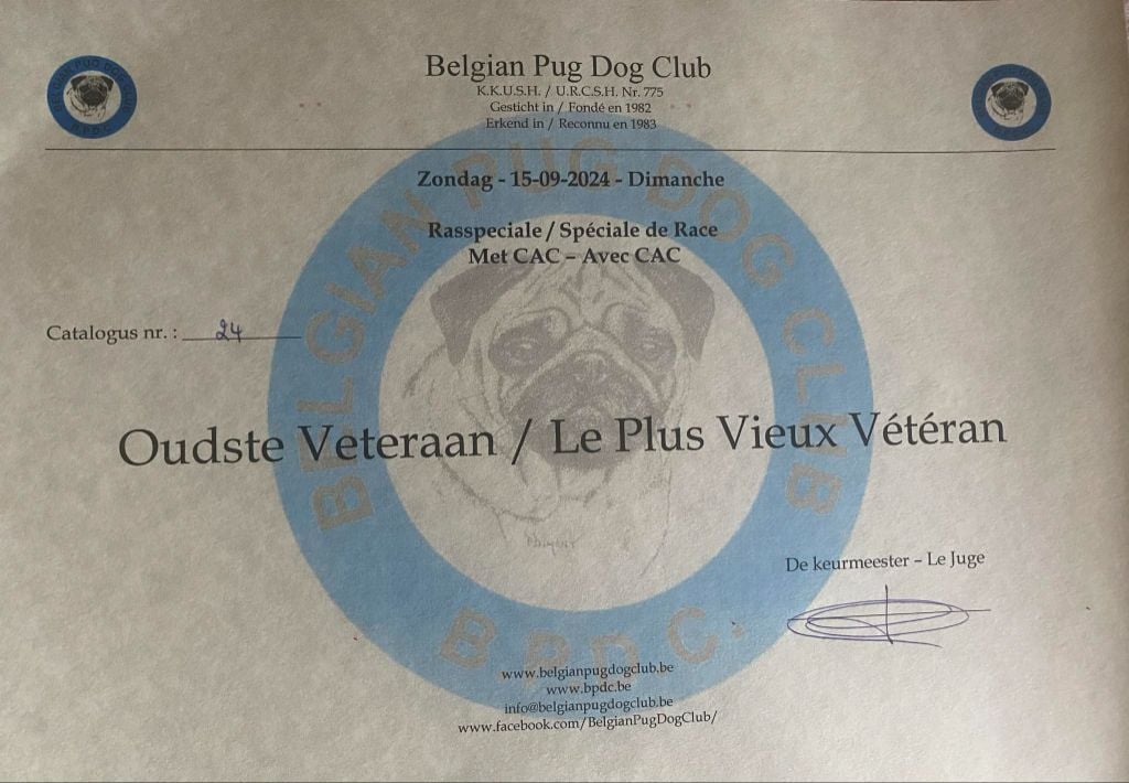 Kheila Lord of Greyskull - VCB 2EX